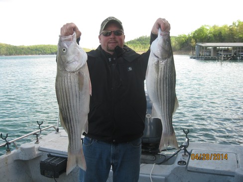 Nice Striped Bass